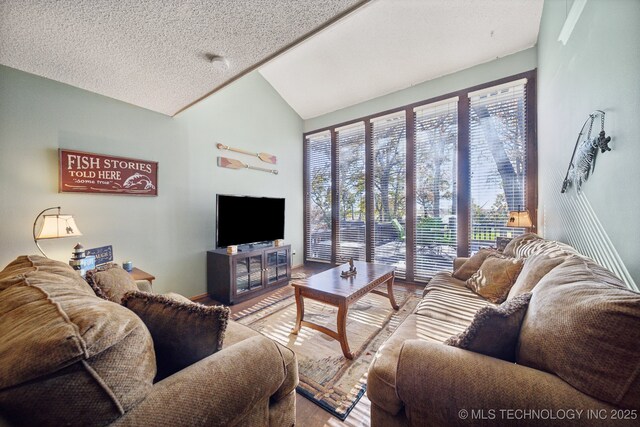 living room featuring a textured ceiling, wood-type flooring, and lofted ceiling