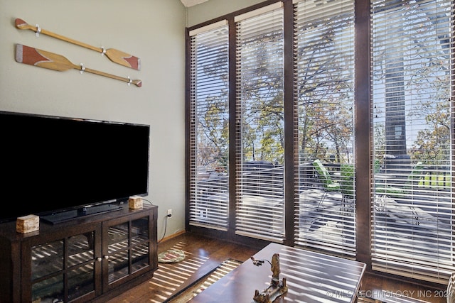 living room with dark hardwood / wood-style flooring