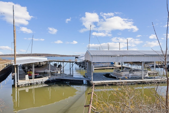 dock area with a water view