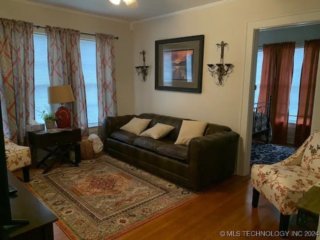 living room with wood-type flooring and crown molding