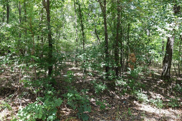 E 700 Drive, Wagoner, OK 74467 - photo 15