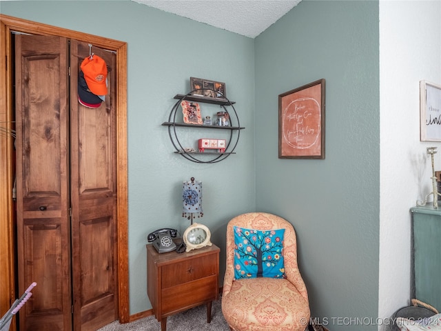 sitting room with carpet floors and a textured ceiling