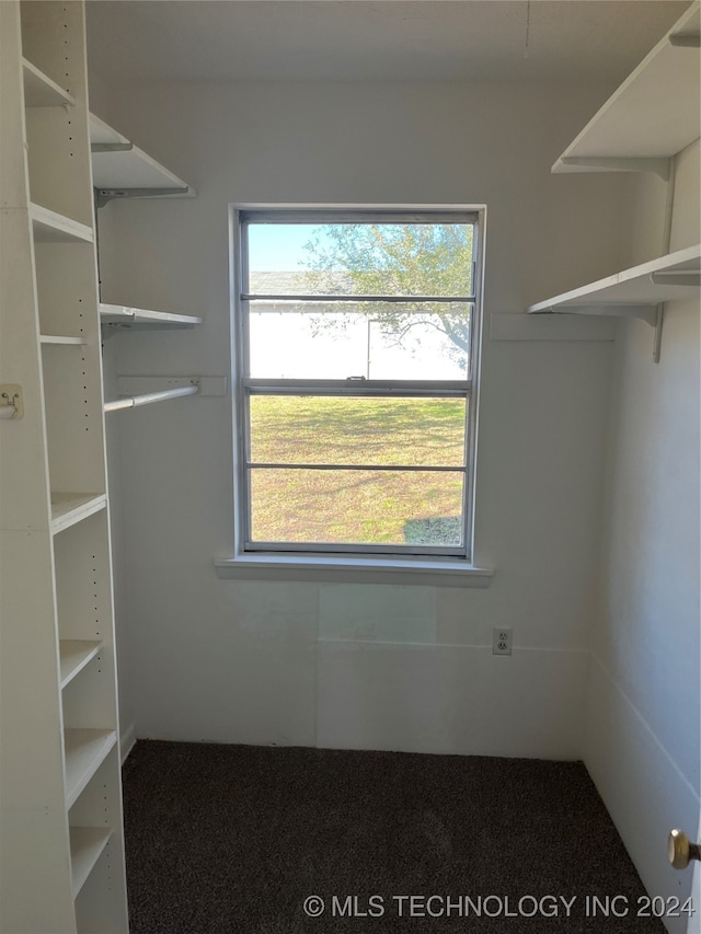 spacious closet with carpet floors