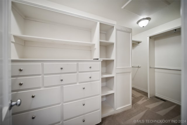 spacious closet with carpet flooring