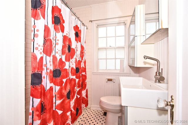 bathroom featuring vanity, a shower with shower curtain, and toilet