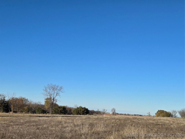 view of yard with a rural view