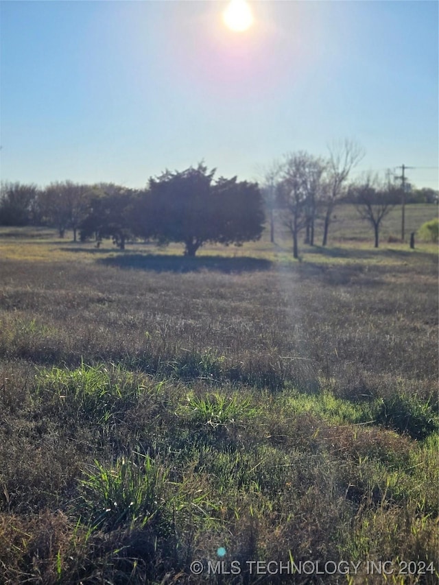 view of yard with a rural view