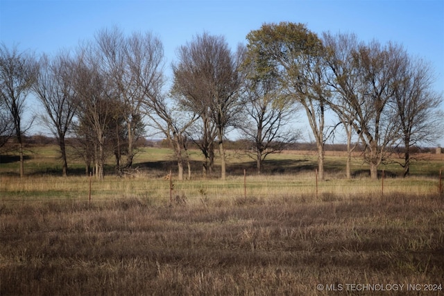 view of yard with a rural view