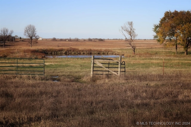 view of yard with a rural view