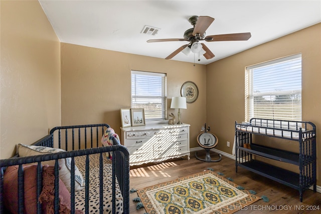 bedroom featuring dark hardwood / wood-style flooring, multiple windows, and ceiling fan