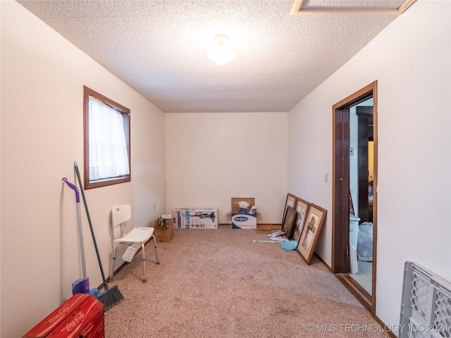 misc room with a textured ceiling and carpet floors