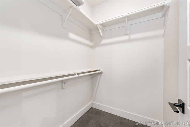 spacious closet featuring carpet flooring