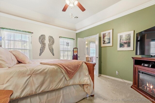 carpeted bedroom with ceiling fan, ensuite bath, ornamental molding, and a raised ceiling