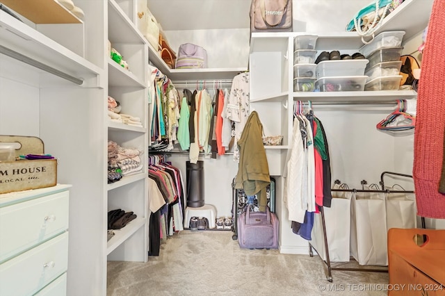 walk in closet with light carpet