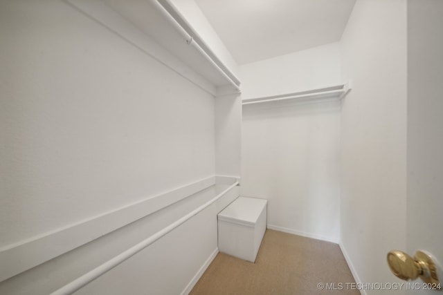 walk in closet with light colored carpet