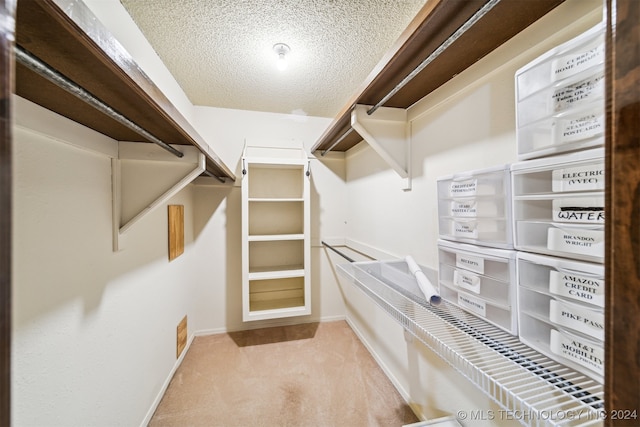 spacious closet with light colored carpet