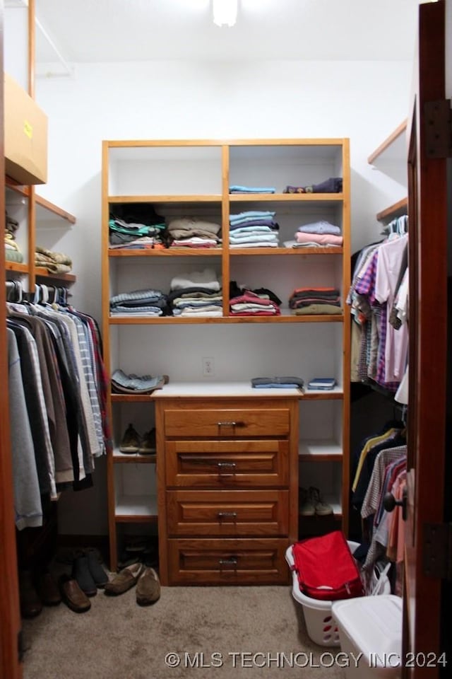 walk in closet with light carpet