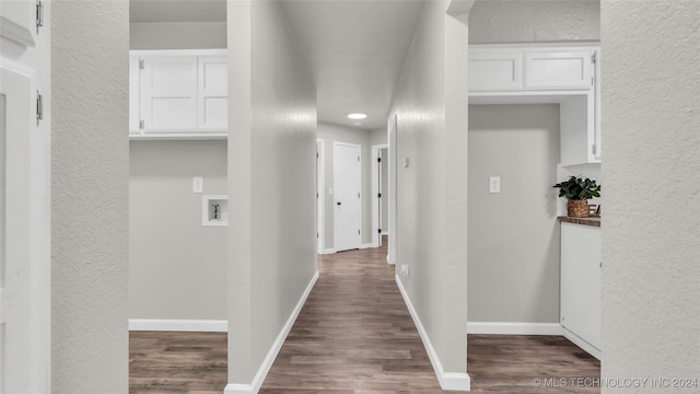 hall featuring dark wood-type flooring