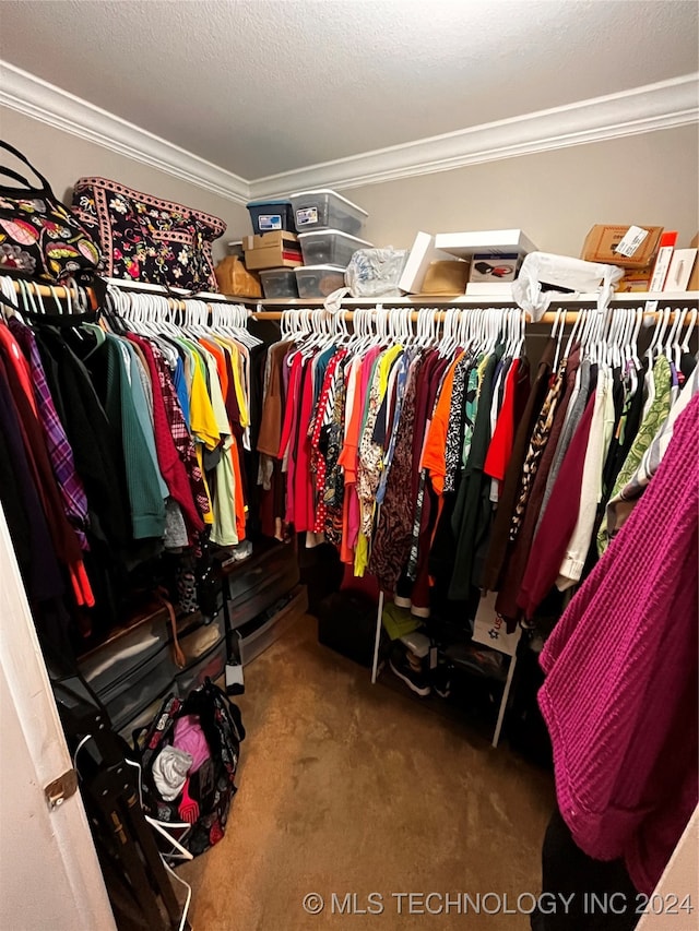 spacious closet with carpet floors