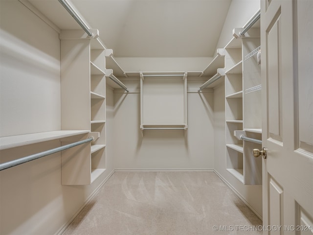 spacious closet featuring light colored carpet