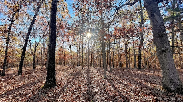 437 Whitetail Rd, Kansas OK, 74347 land for sale