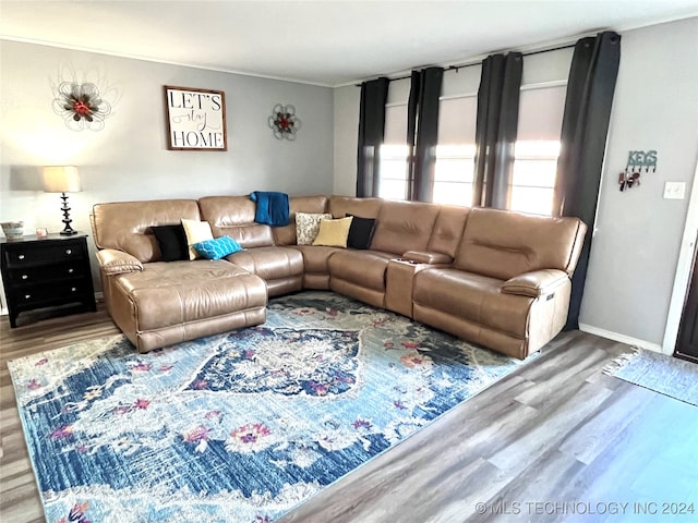 living room featuring hardwood / wood-style flooring