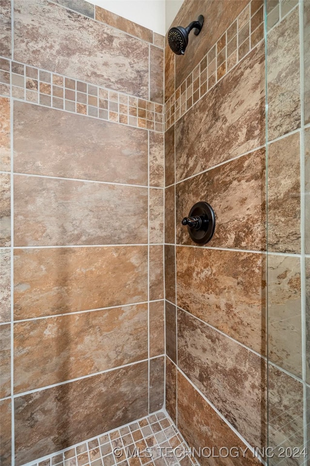 room details with tiled shower