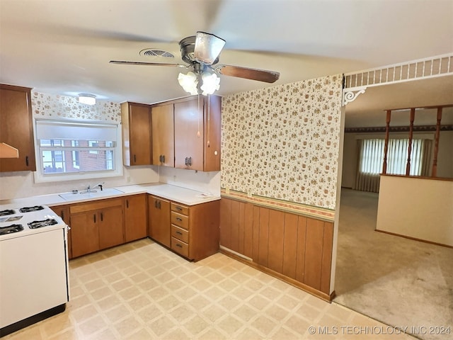 kitchen featuring wood walls, plenty of natural light, sink, and white electric stove