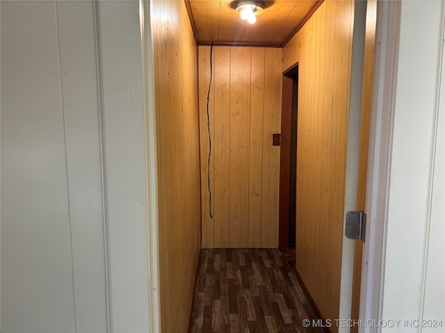 hall with wood walls and dark hardwood / wood-style flooring