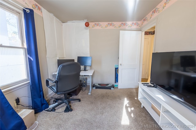 office area with light colored carpet