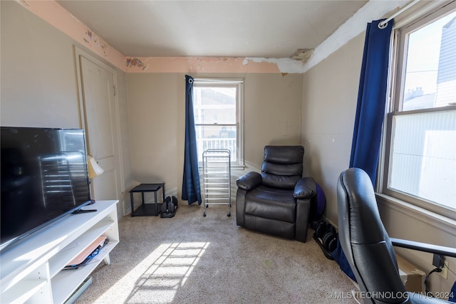 sitting room with light colored carpet