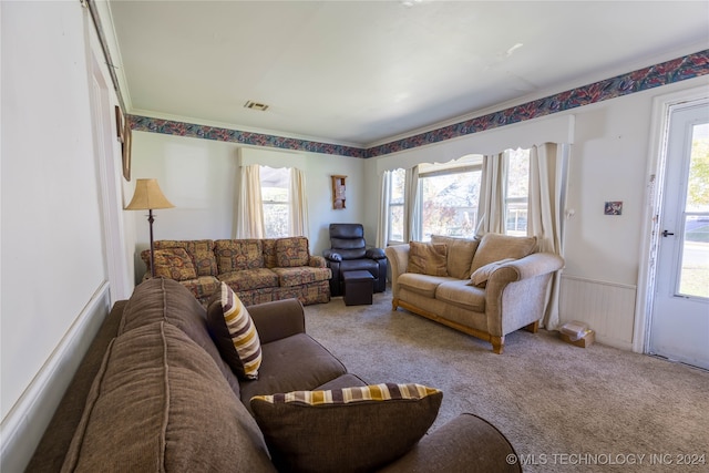 carpeted living room with a wealth of natural light