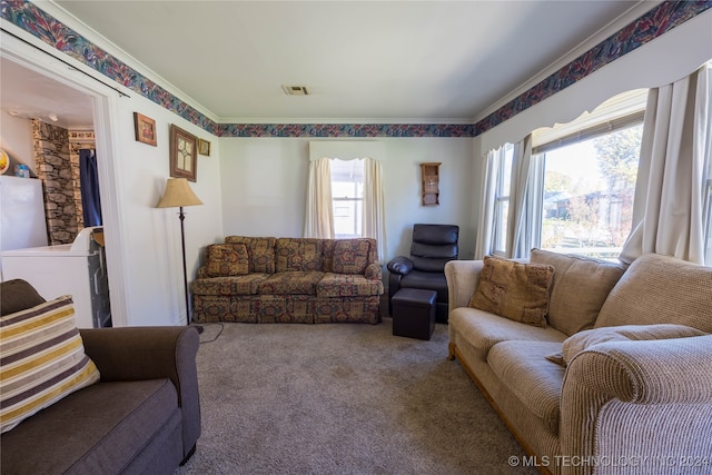 living room with carpet flooring, washer / dryer, and a wealth of natural light