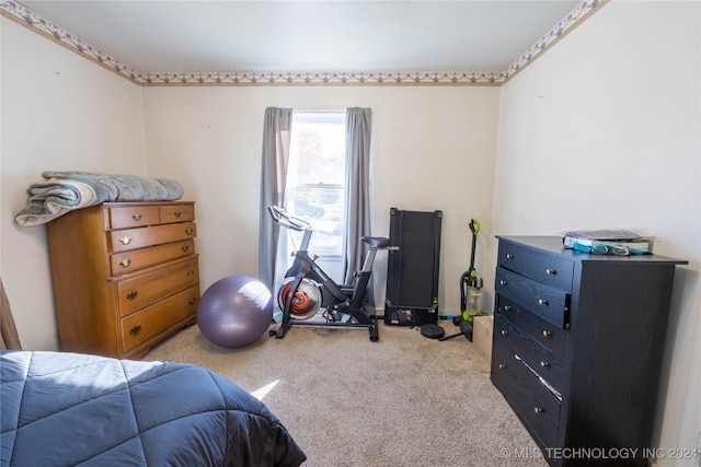 bedroom with light carpet