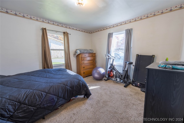 carpeted bedroom featuring multiple windows