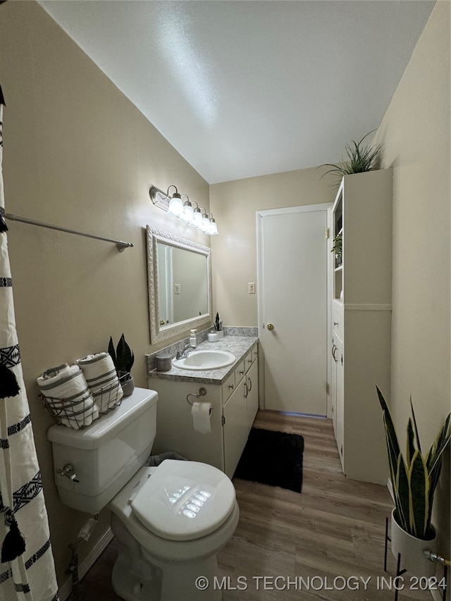 bathroom featuring vanity, wood-type flooring, and toilet