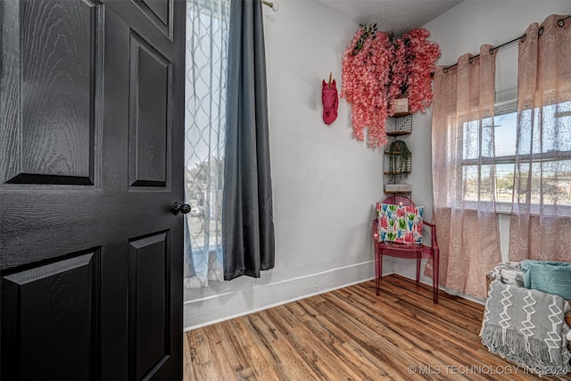 foyer entrance with hardwood / wood-style flooring