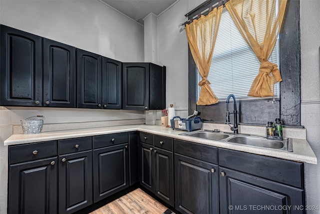 kitchen with sink and light wood-type flooring