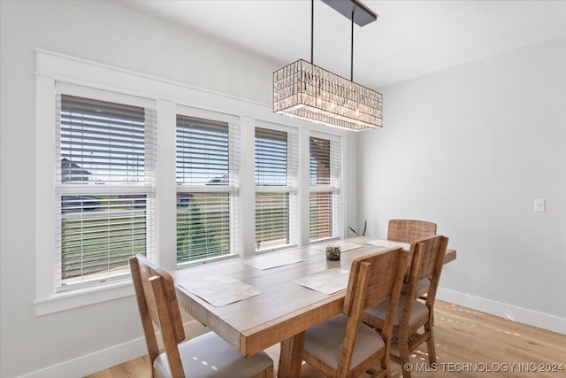 dining space with light hardwood / wood-style flooring