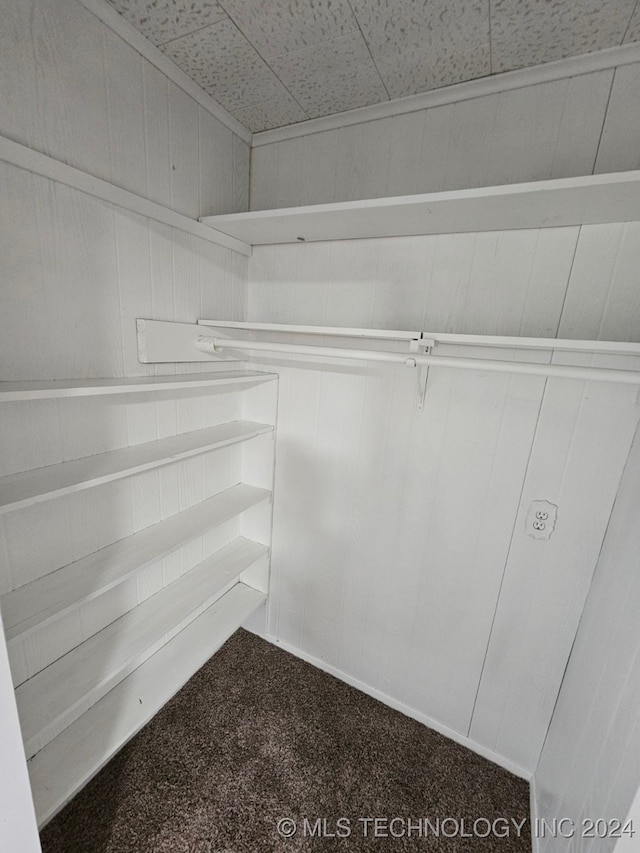 spacious closet featuring carpet