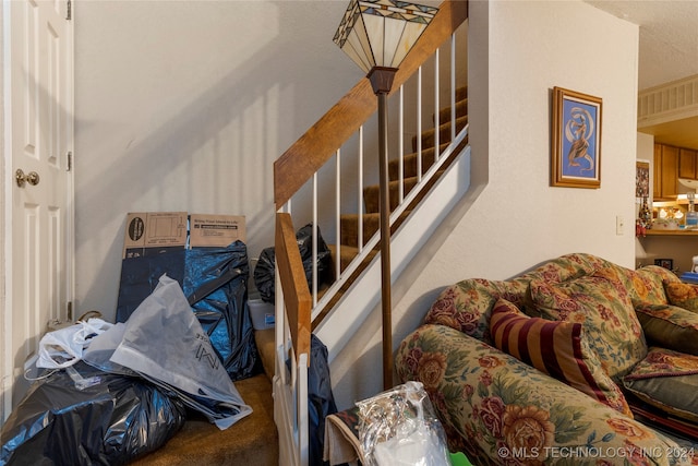 staircase featuring carpet