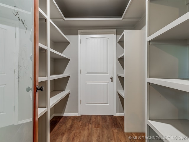 spacious closet featuring dark wood-type flooring