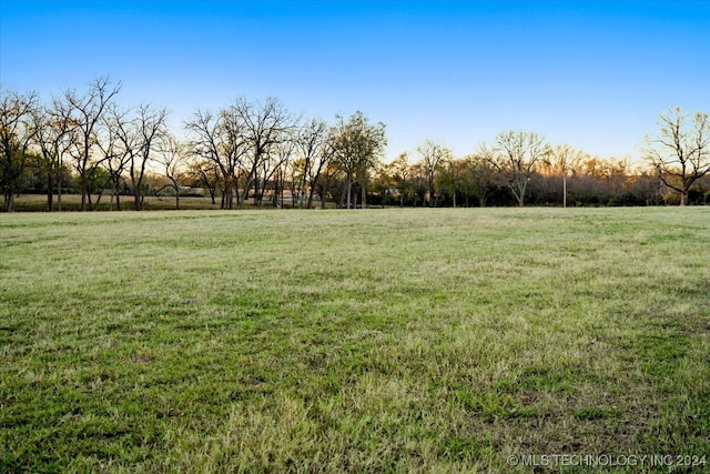 view of yard with a rural view