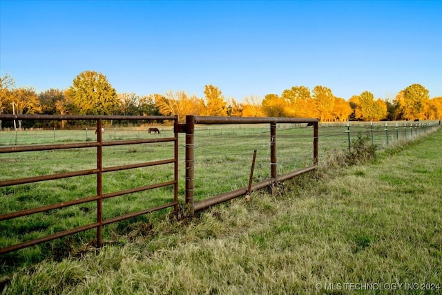 view of yard featuring a rural view