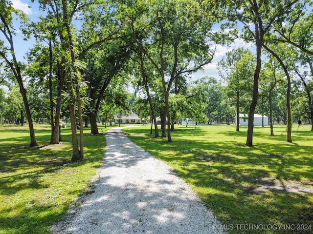 view of home's community with a lawn