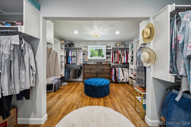 walk in closet featuring hardwood / wood-style floors