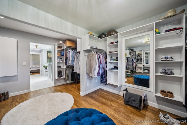 walk in closet featuring wood-type flooring