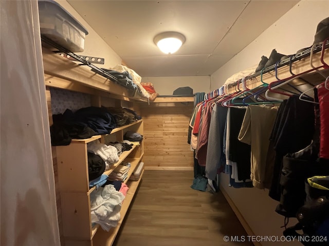 spacious closet with hardwood / wood-style floors