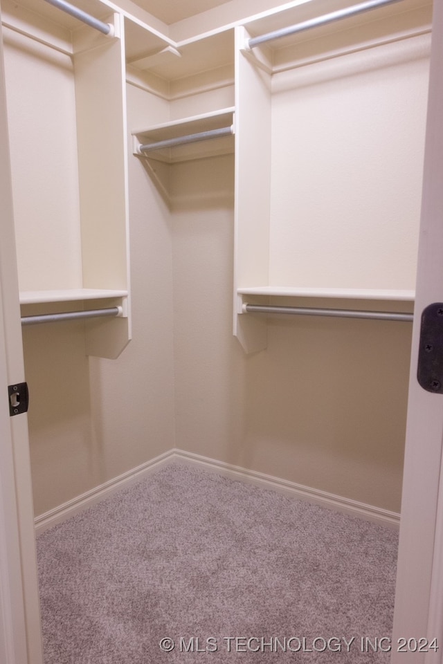 walk in closet with carpet