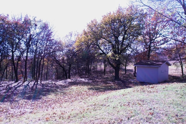 view of yard featuring a shed